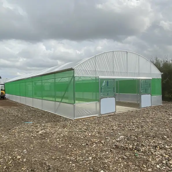 Single Span Polytunnels