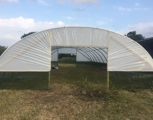 Single Span Polytunnels